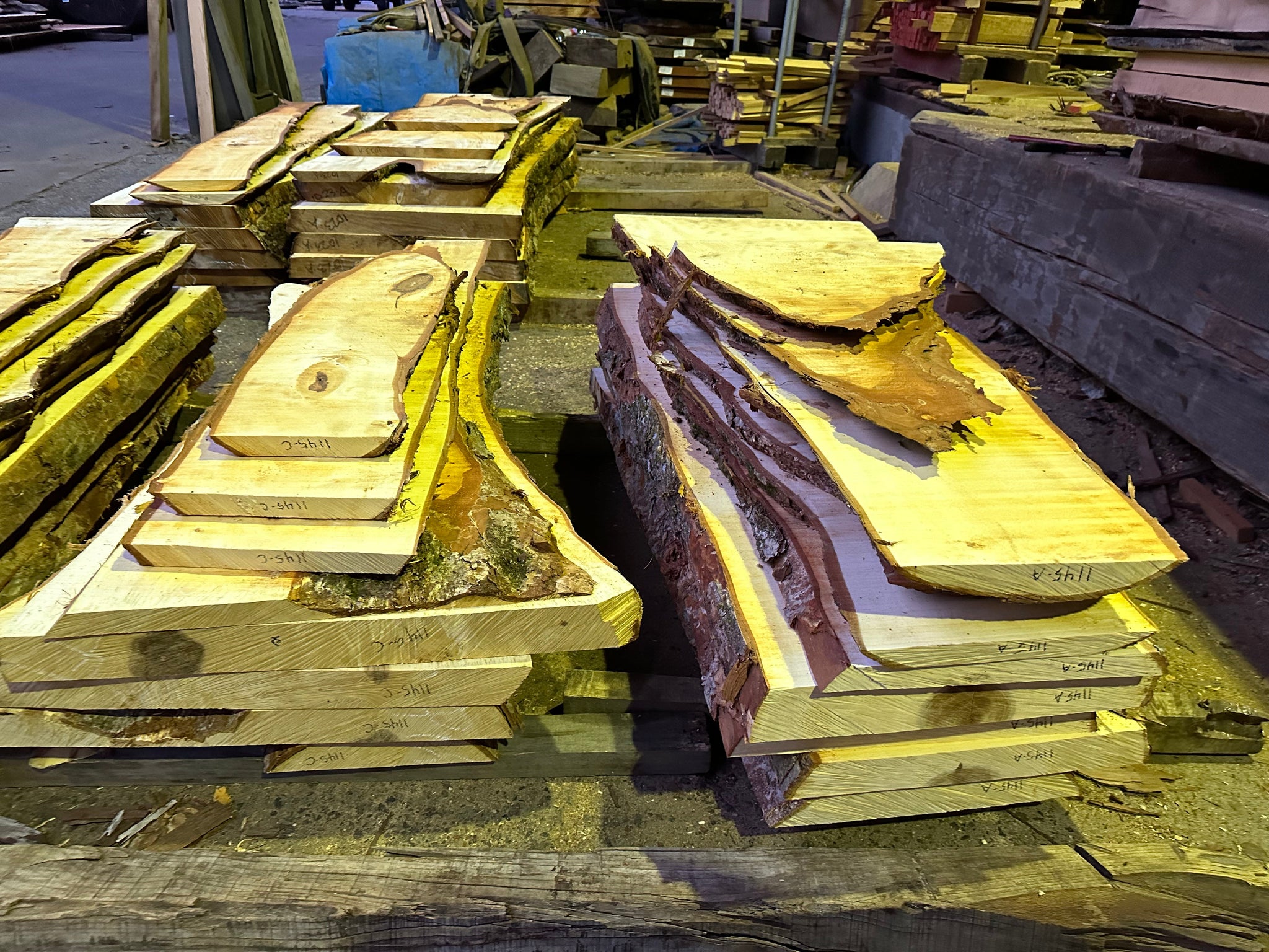 IMG_5663_2048x.jpg?v=1746075939