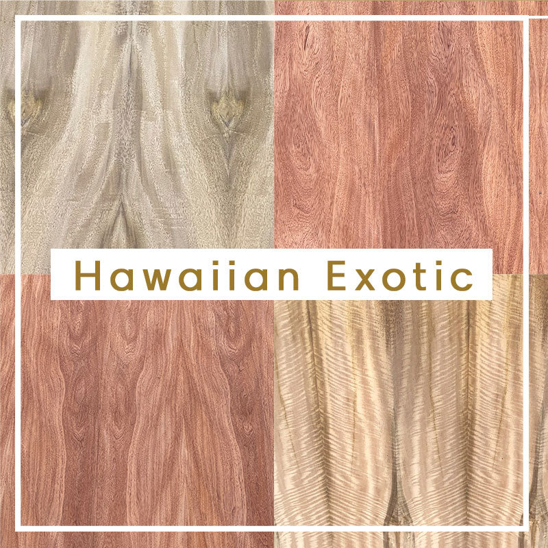 Collections – Winkler Woods