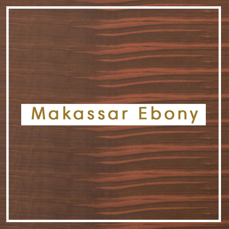 Makassar Ebony