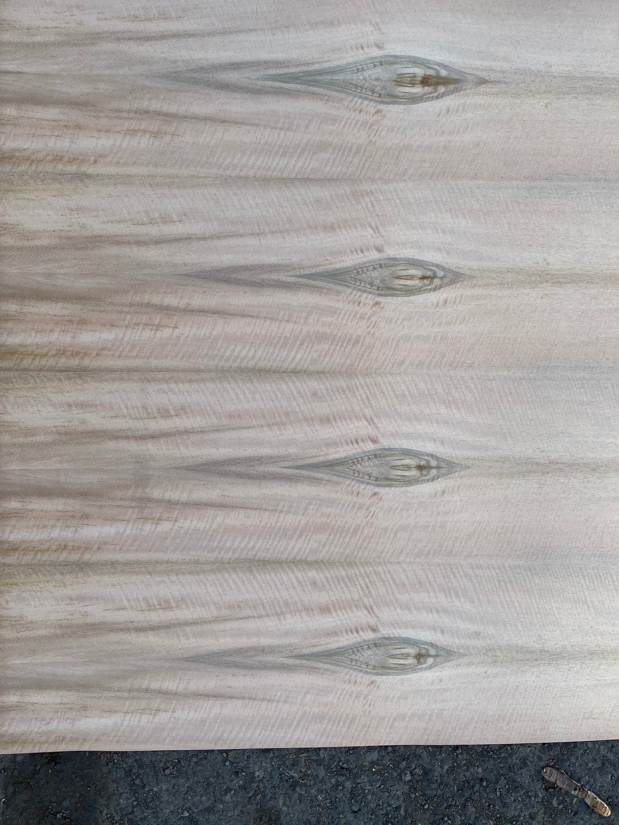 Hawaiian Mango - KamiPLY - Paperback Veneer #488 CURLY – Winkler Woods