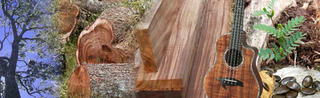 Winkler Woods LLC - Market in Honolulu